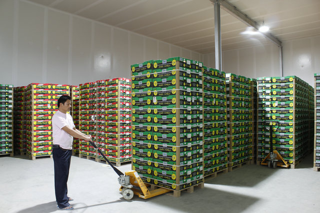 遂宁冷库建造安装行业蓬勃发展成朝阳产业